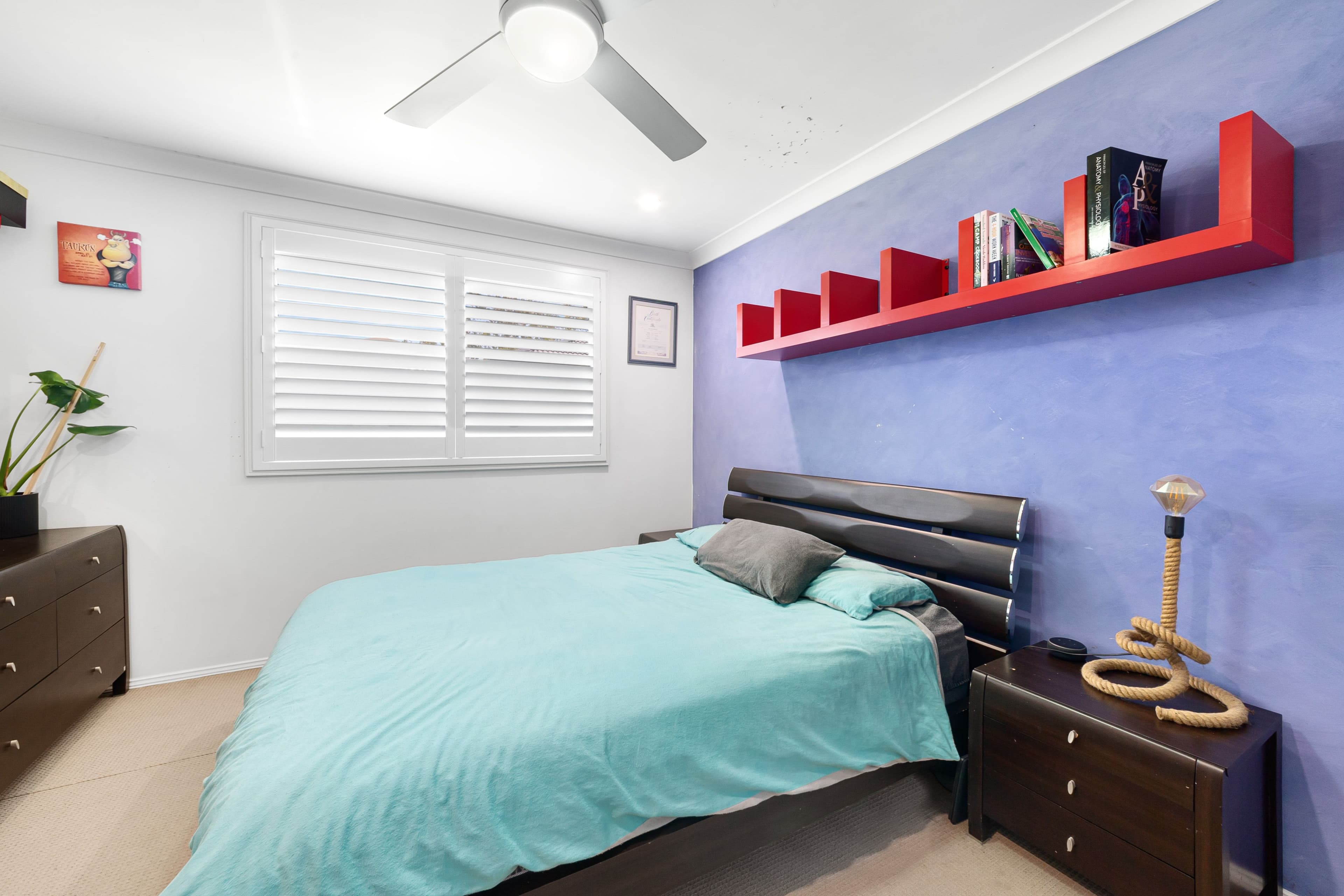 103 Evans Road, Noraville NSW 2263, Noraville - Thumbnail 8