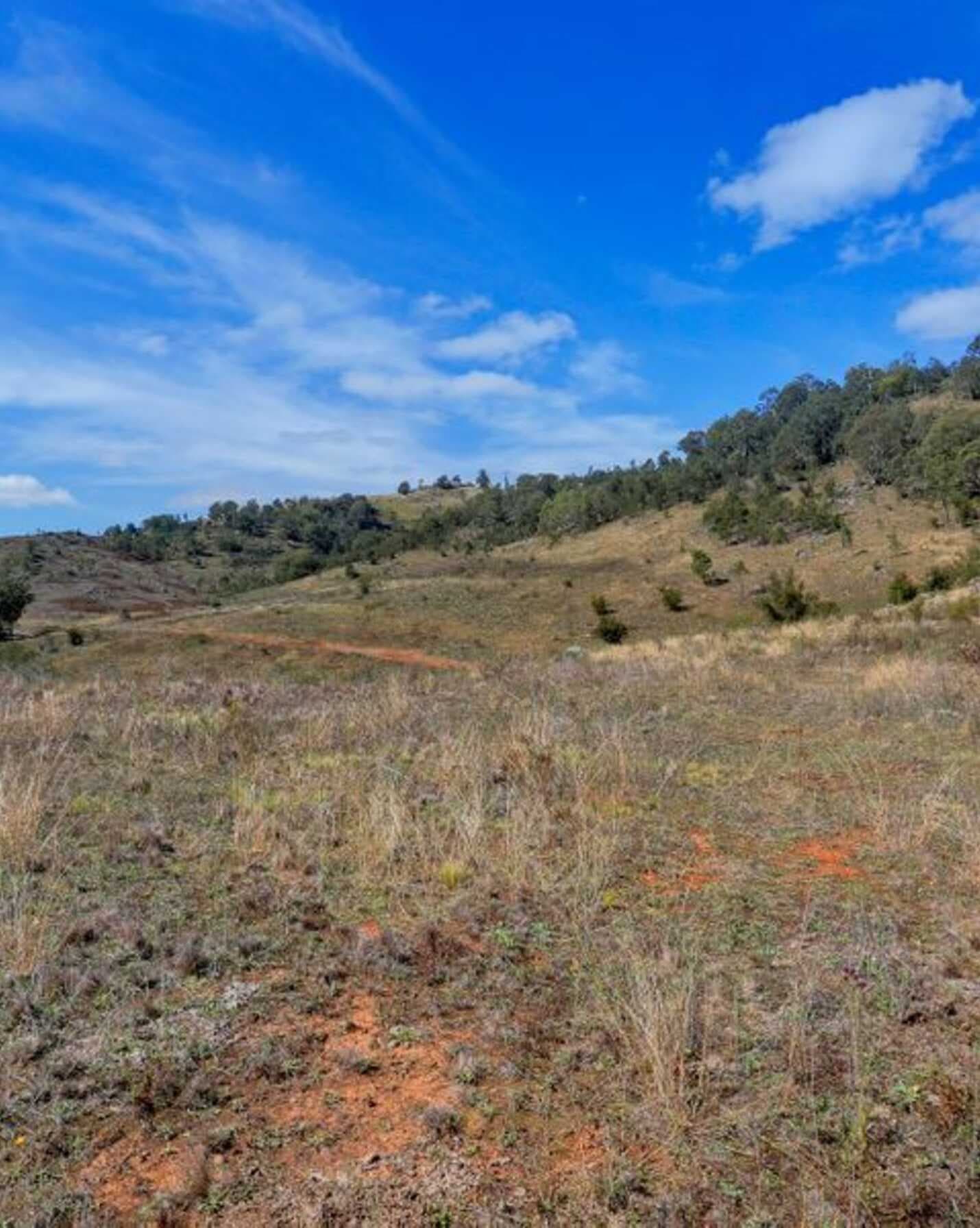 Lot 2, 3507 Wombeyan Caves Road Bullio, Bullio - Thumbnail 4