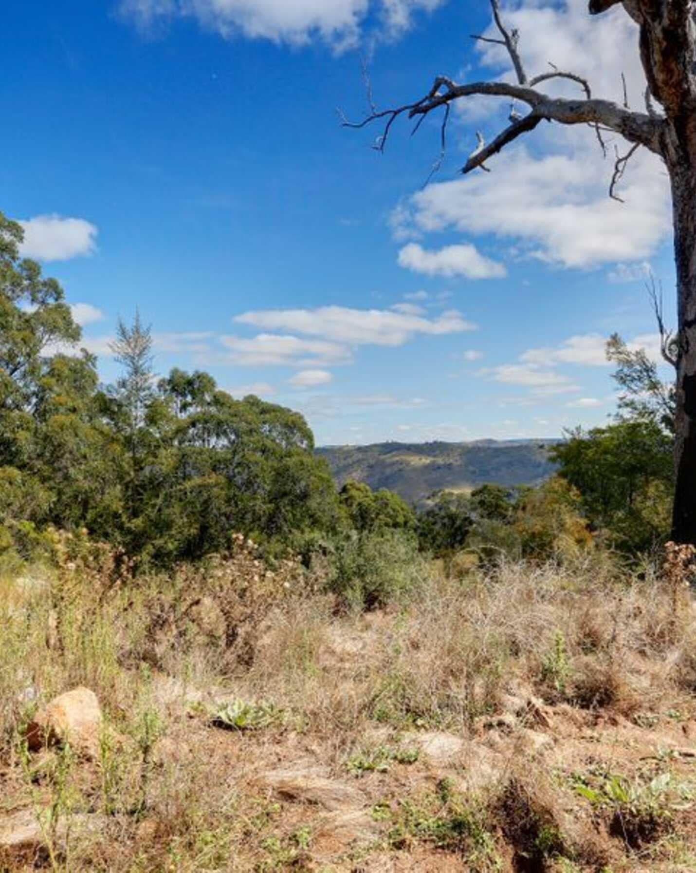 Lot 2, 3507 Wombeyan Caves Road Bullio, Bullio - Thumbnail 6