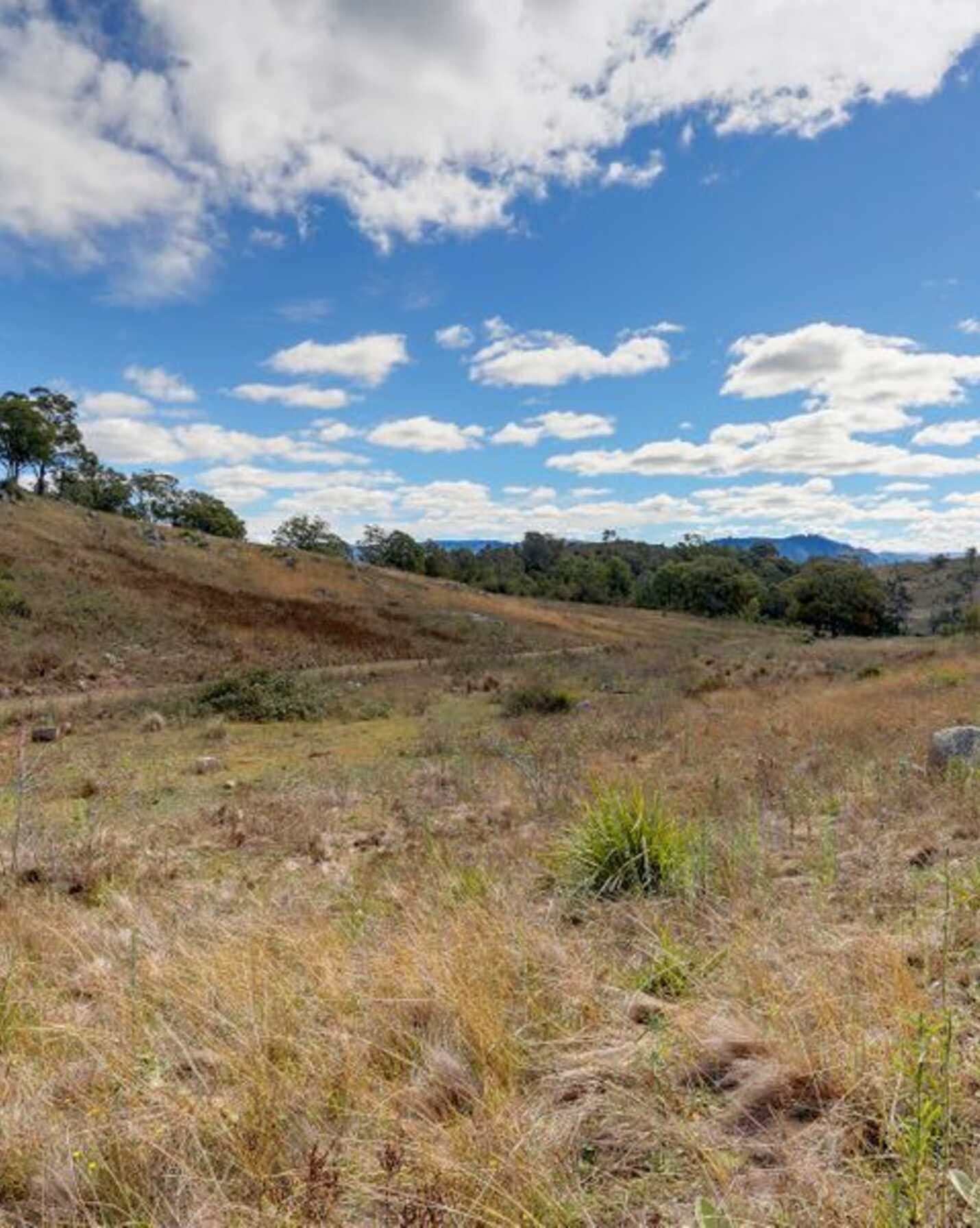 Lot 2, 3507 Wombeyan Caves Road Bullio, Bullio - Thumbnail 8