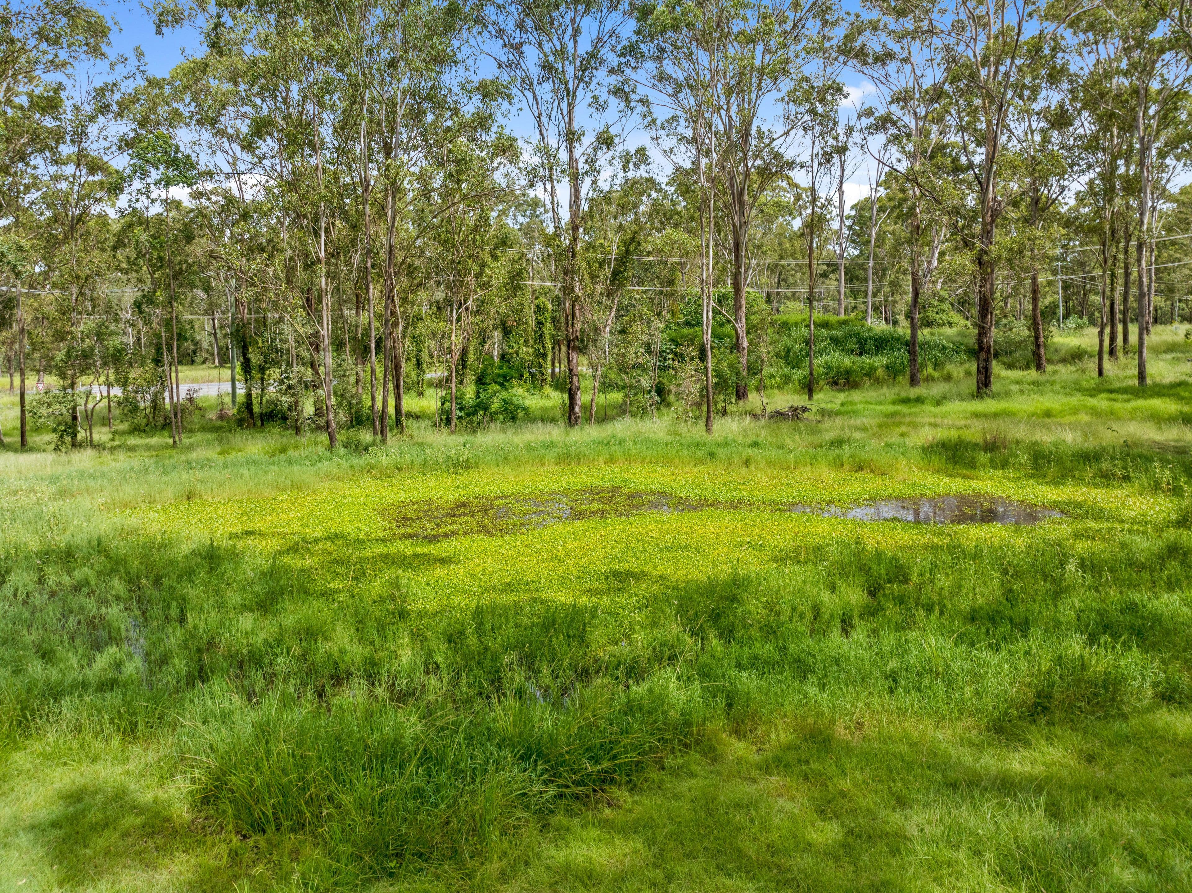 169-187 Abell Road, Jimboomba QLD 4280, Jimboomba - Thumbnail 6
