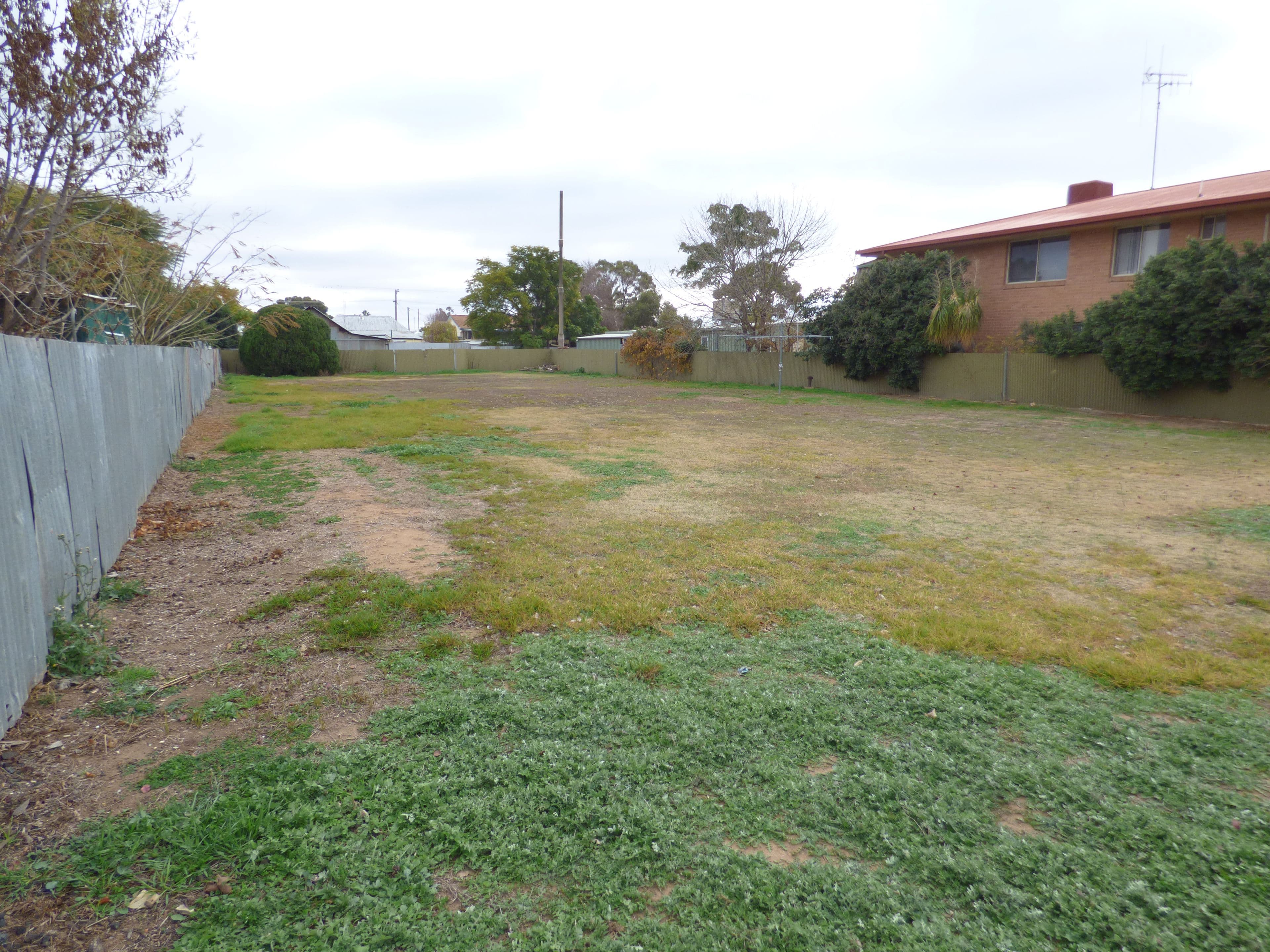 14 Renfree Street, Forbes NSW 2871, Forbes - Thumbnail 3