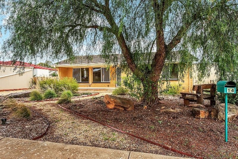 14 Walditch Street, Elizabeth Downs SA 5113, Elizabeth Downs - Image 1