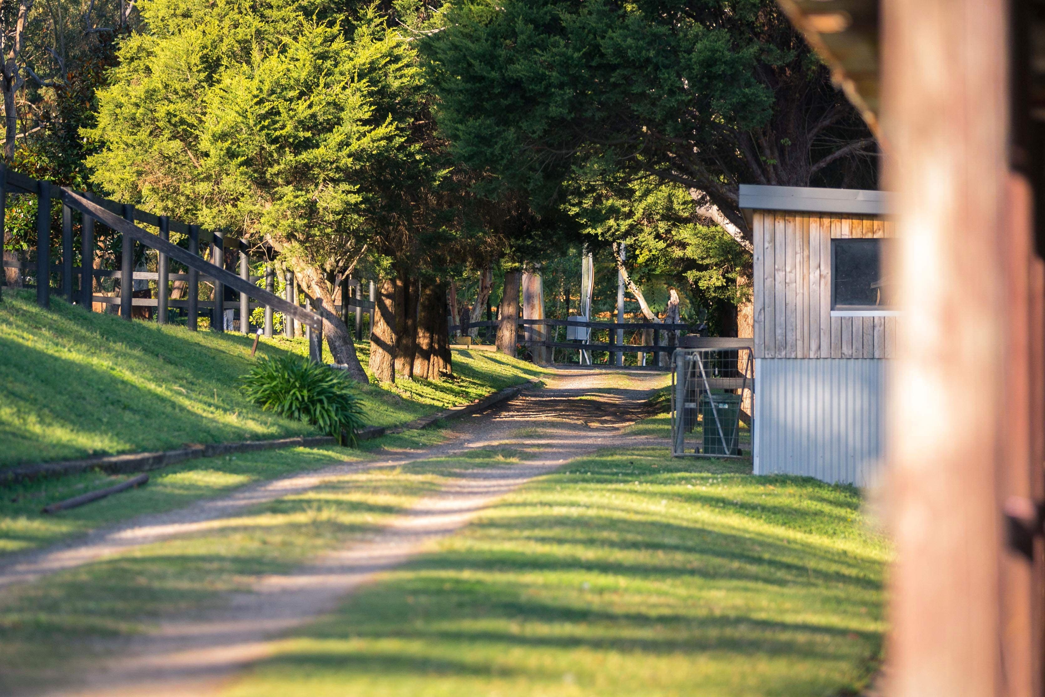 Duffys Forest NSW 2084, Duffys Forest - Thumbnail 8