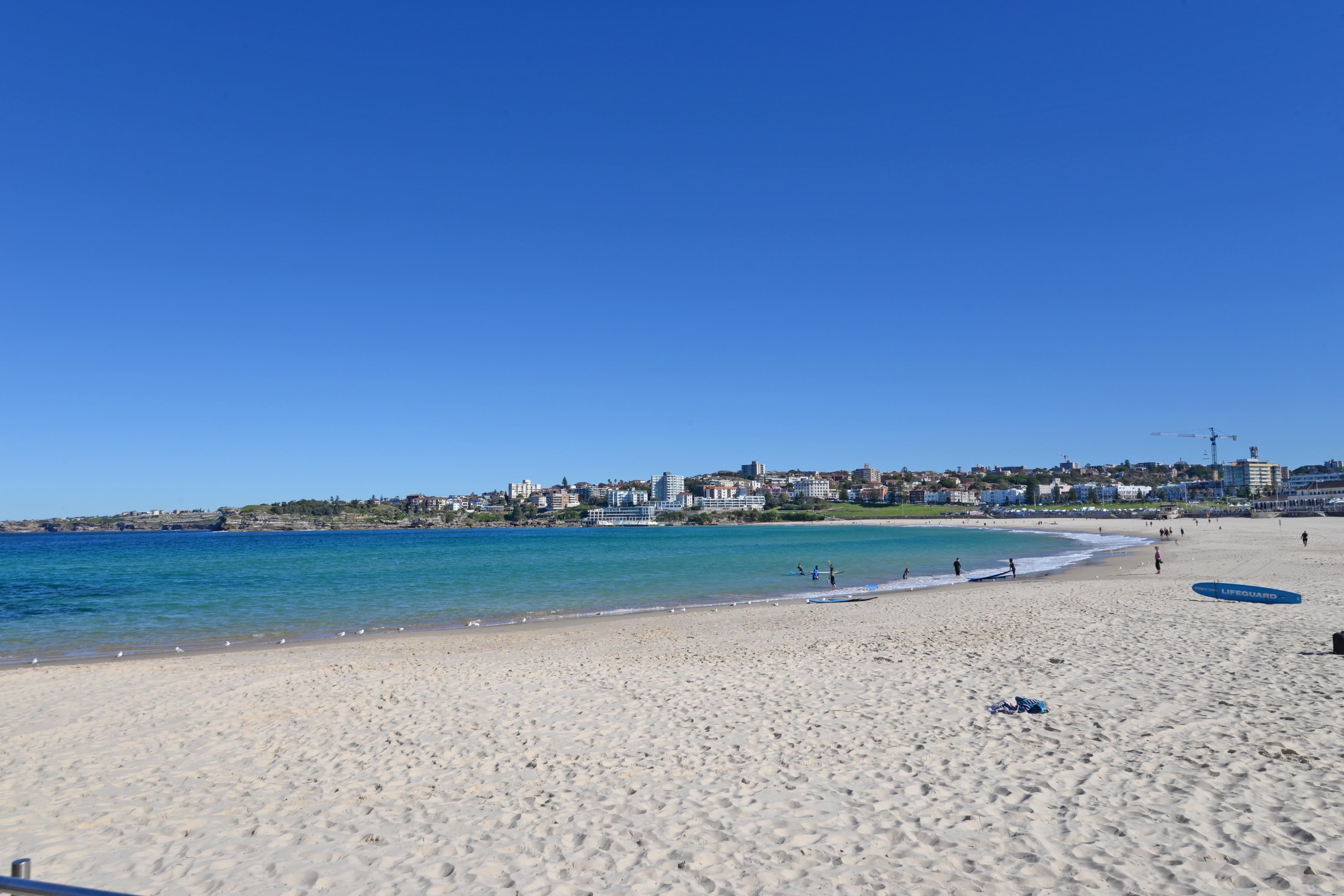 104 Lamrock Avenue, Bondi Beach NSW 2026, Bondi Beach - Thumbnail 8