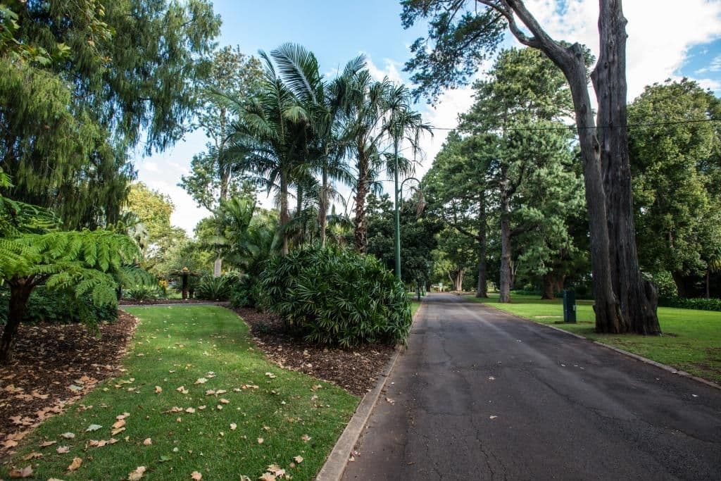 1C Eleanor Street, EAST TOOWOOMBA QLD 4350, East Toowoomba - Thumbnail 4