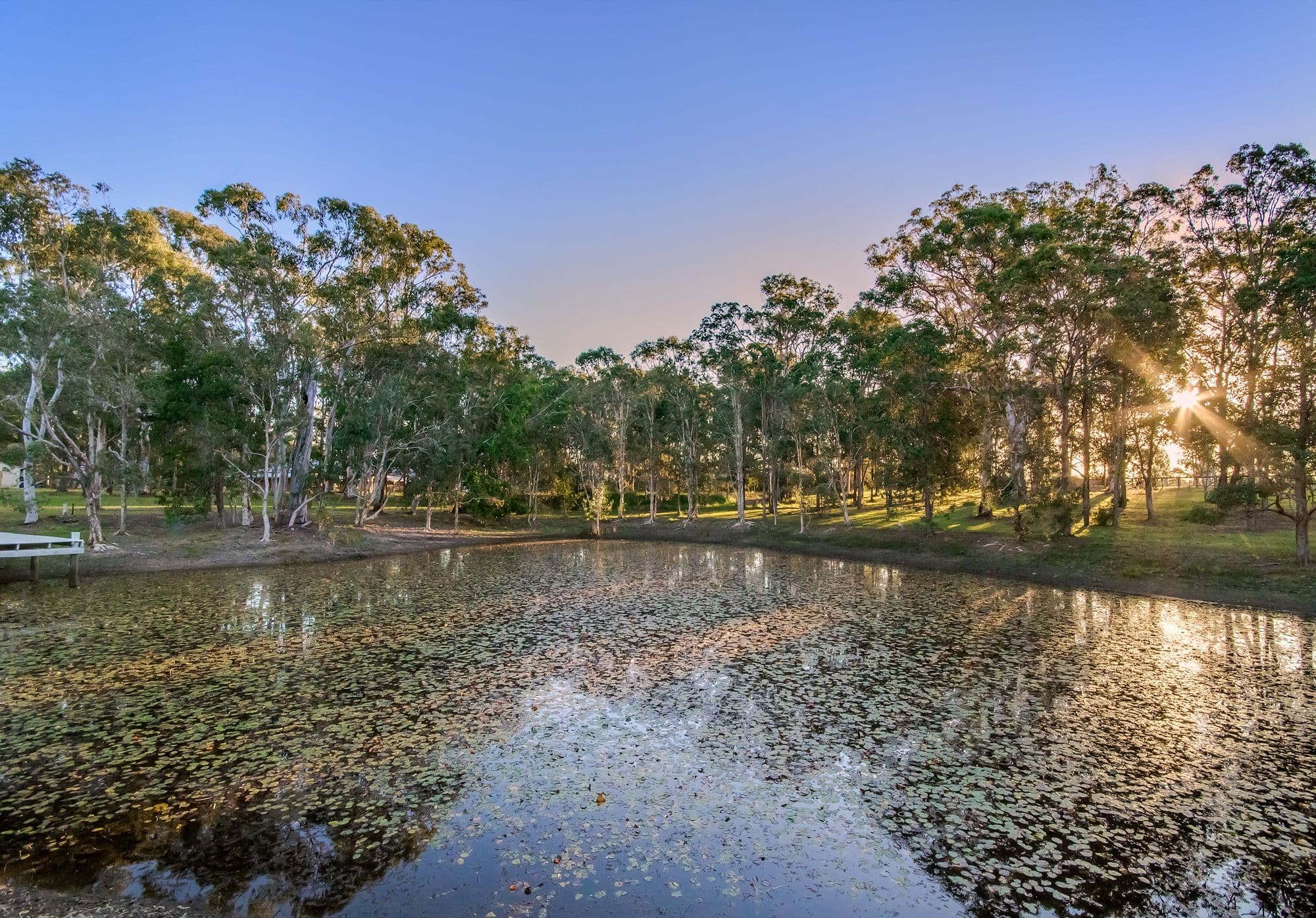 74 Solway Crescent, Carbrook QLD 4130, Carbrook - Thumbnail 3
