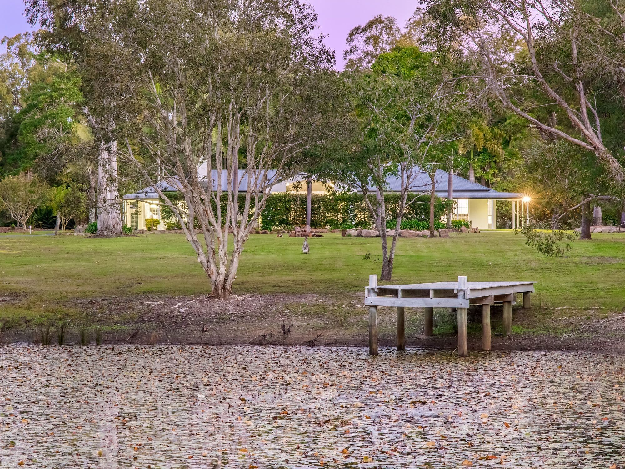 74 Solway Crescent, Carbrook QLD 4130, Carbrook - Thumbnail 4