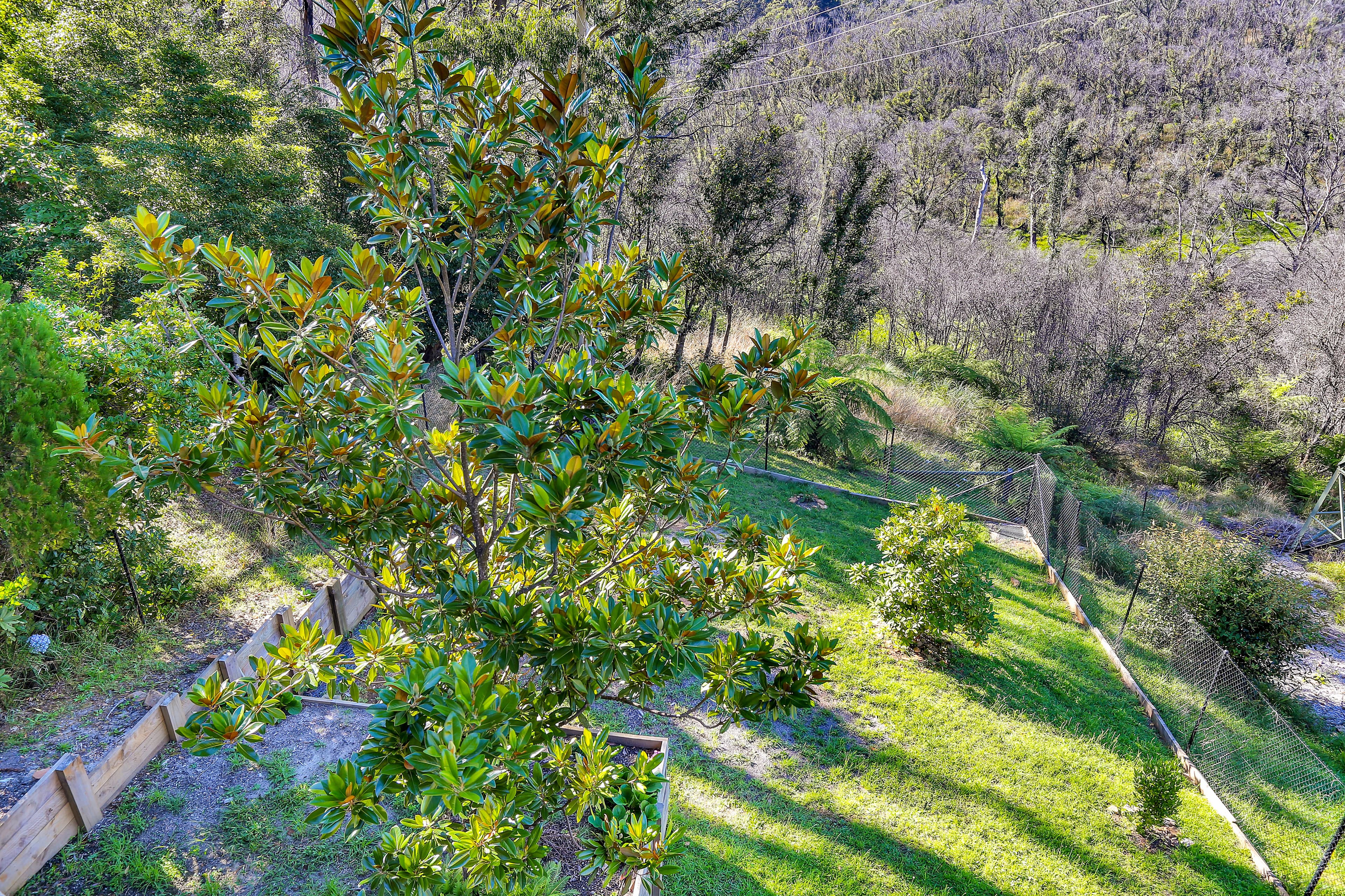 43 Rodriguez Avenue, Blackheath NSW 2785, Blackheath - Thumbnail 7