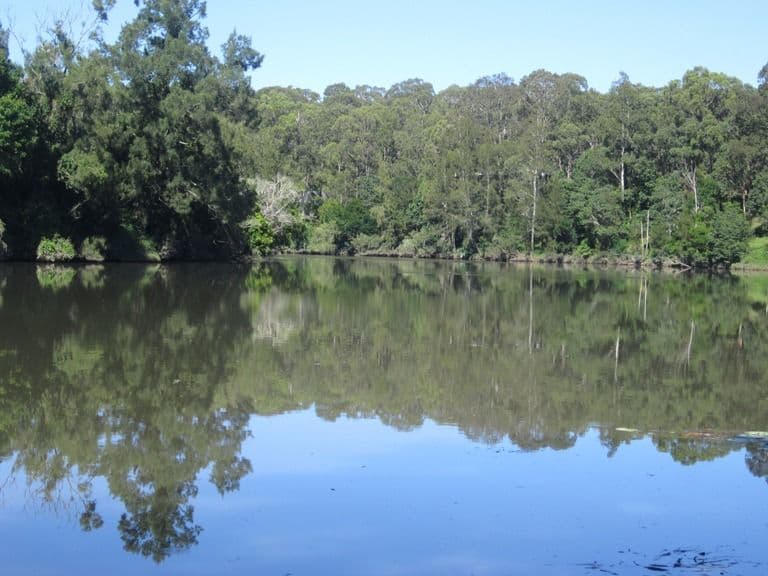 86 Glen William Road, Clarence Town NSW 2321, Clarence Town - Thumbnail 3