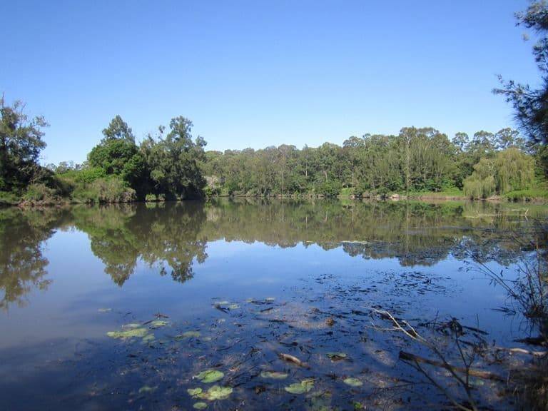 86 Glen William Road, Clarence Town NSW 2321, Clarence Town - Thumbnail 4