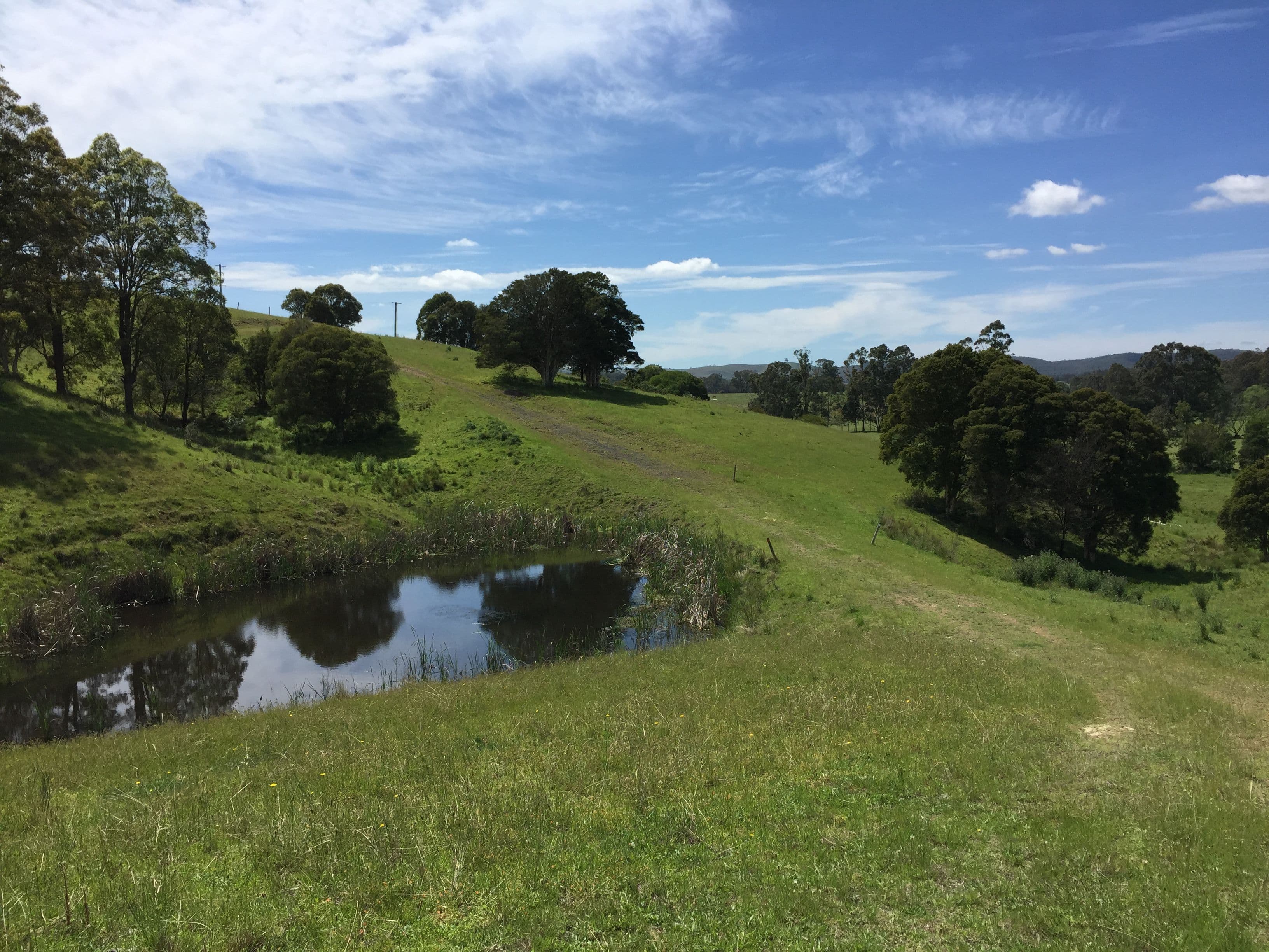 86 Glen William Road, Clarence Town NSW 2321, Clarence Town - Thumbnail 5