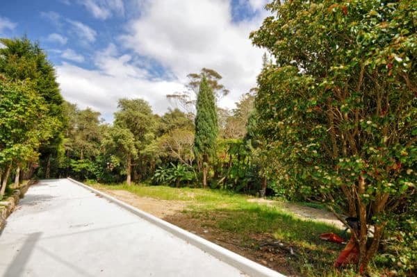Lot 72 Denman Street, TURRAMURRA NSW 2074, Turramurra - Thumbnail 5