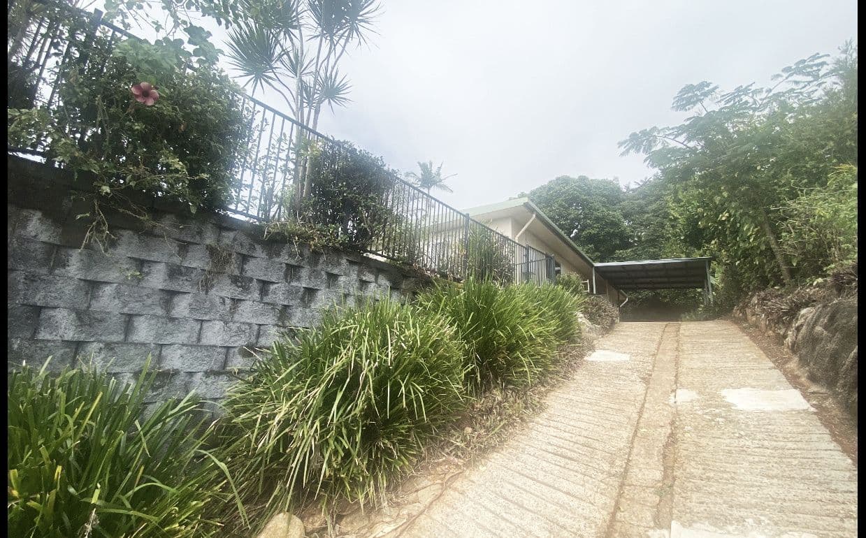 46 Cutten Street, Bingil Bay QLD 4852, Bingil Bay - Thumbnail 5