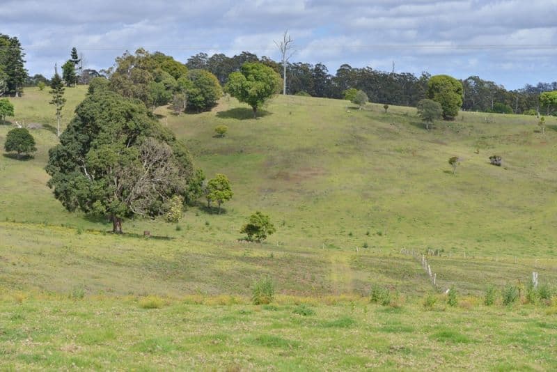 1568 Beechmont Road, BEECHMONT QLD 4211, Beechmont - Image 1
