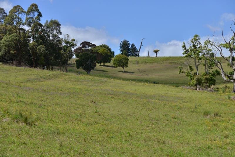 1568 Beechmont Road, BEECHMONT QLD 4211, Beechmont - Thumbnail 2