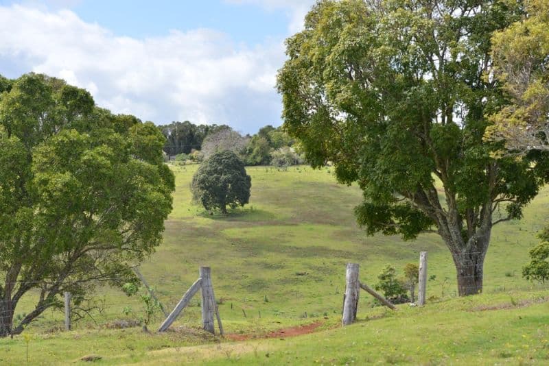 1568 Beechmont Road, BEECHMONT QLD 4211, Beechmont - Thumbnail 4