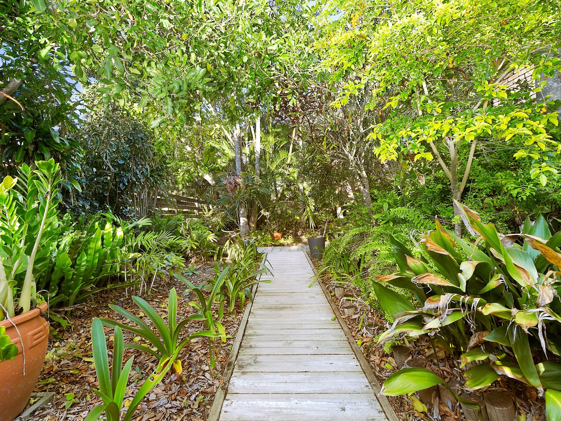 19 Avocet Parade, Peregian Beach QLD 4573, Peregian Beach - Thumbnail 5