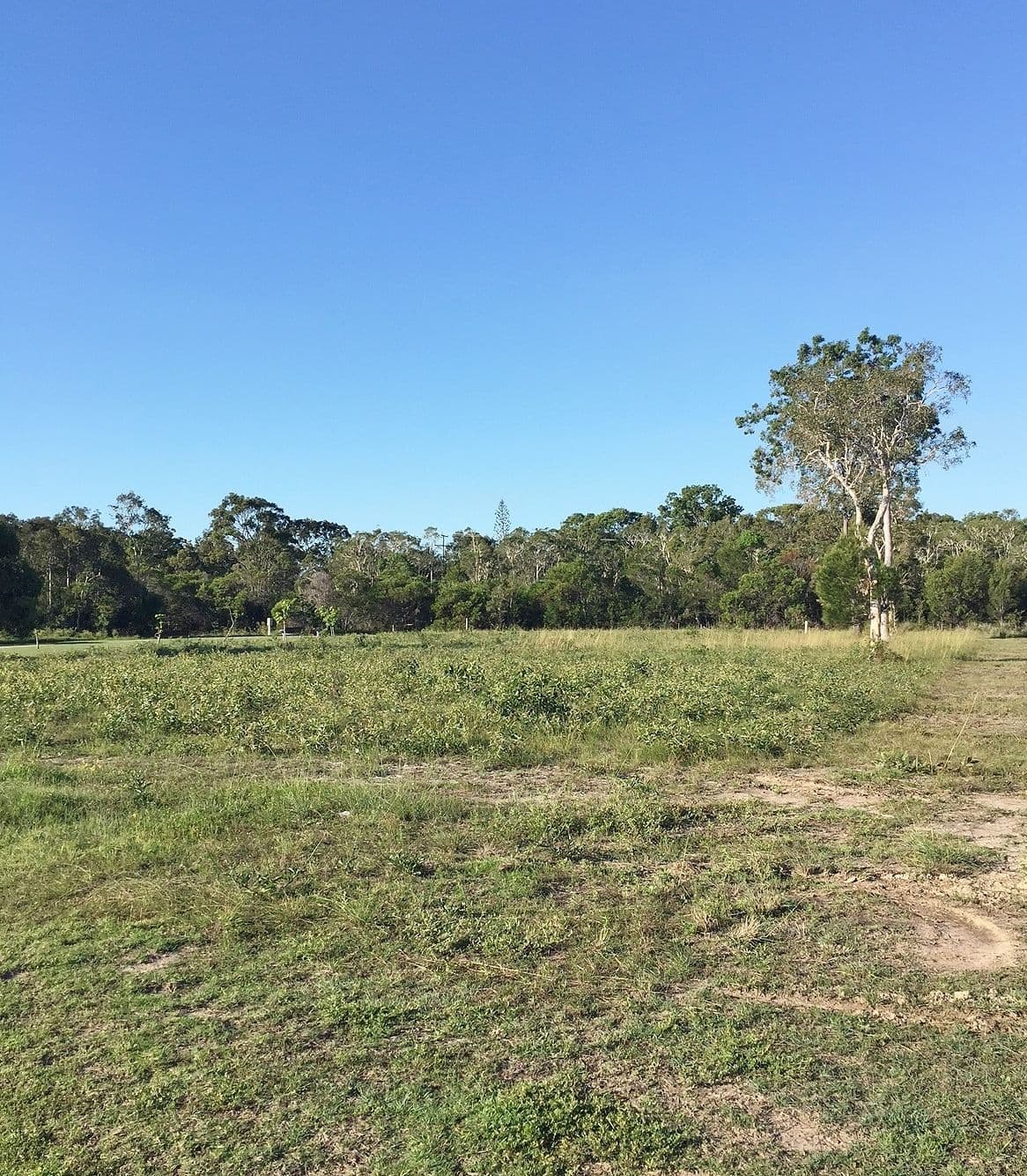 15 Southern Cross Circuit, Urangan QLD 4655, Urangan - Thumbnail 7