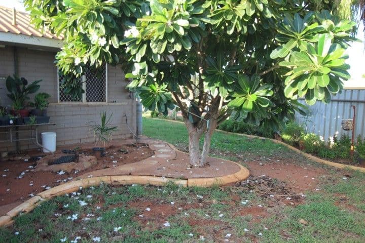 1 Hollings Place, South Hedland WA 6722, South Hedland - Thumbnail 3