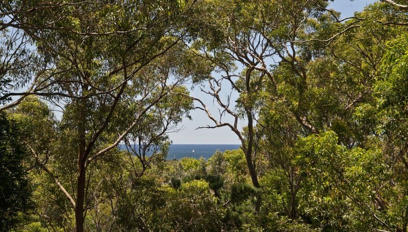 15 Chisholm Avenue, AVALON NSW 2107, Avalon Beach - Thumbnail 3