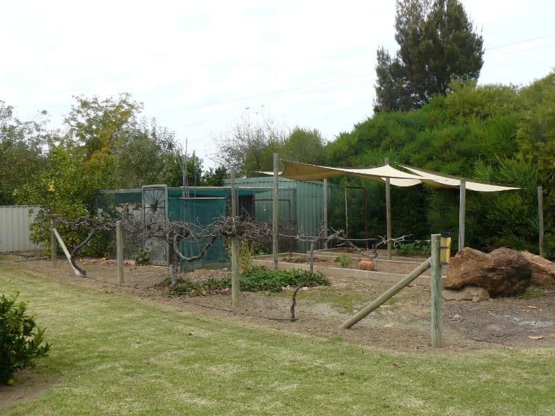 188 Hoddle Street, HOWLONG NSW 2643, Howlong - Thumbnail 4
