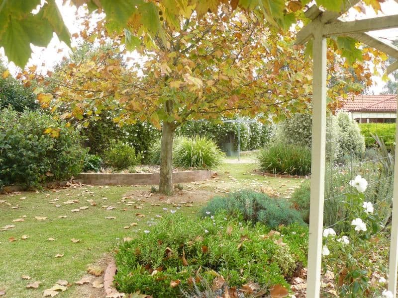 188 Hoddle Street, HOWLONG NSW 2643, Howlong - Thumbnail 6