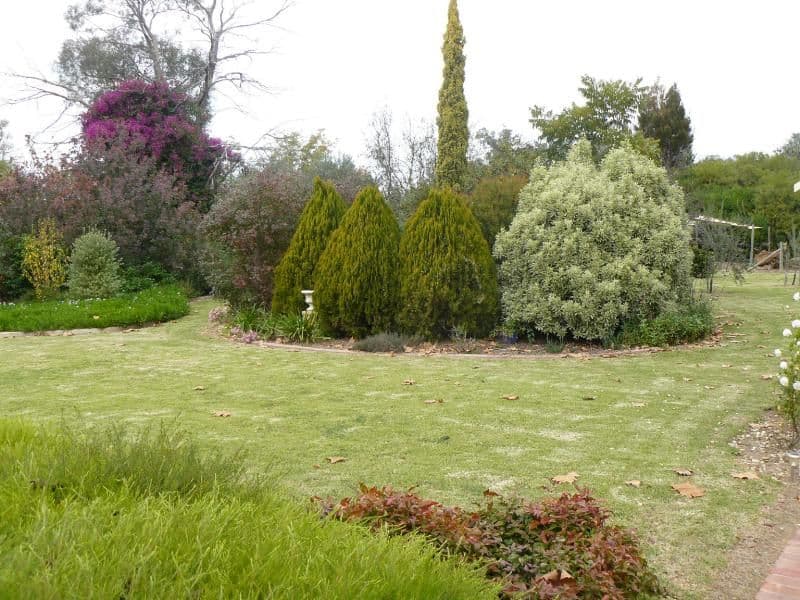 188 Hoddle Street, HOWLONG NSW 2643, Howlong - Thumbnail 7