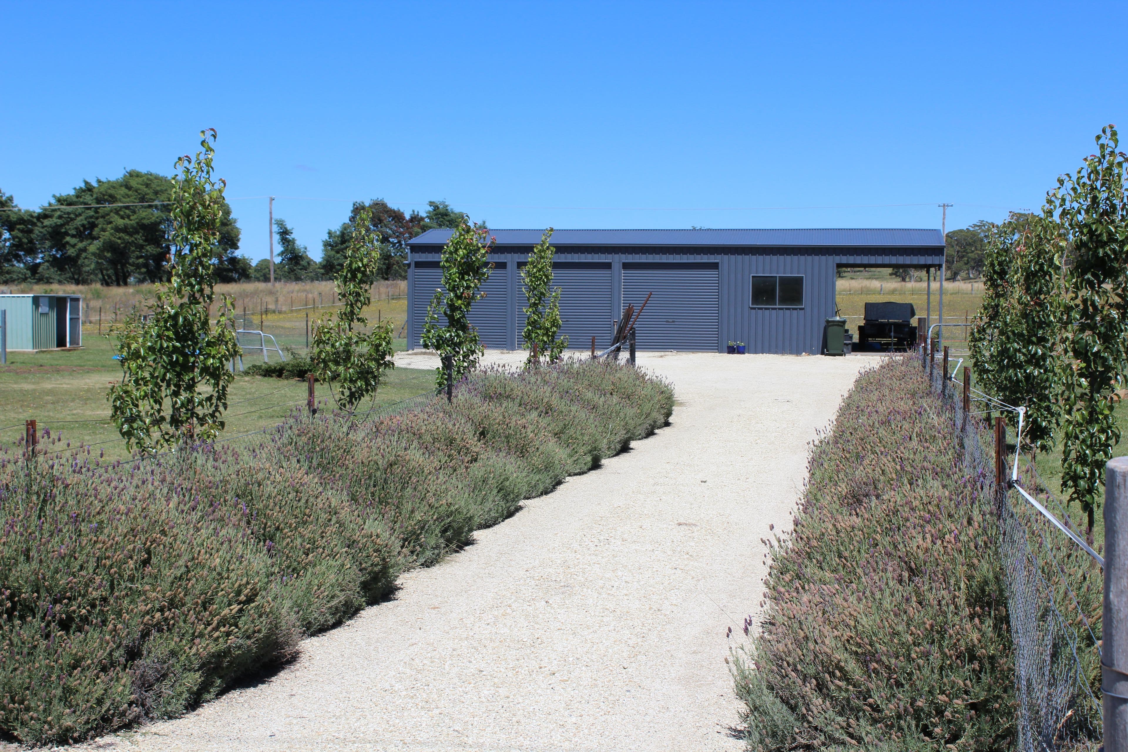 56 Lakeview Road, Guyra - Thumbnail 6