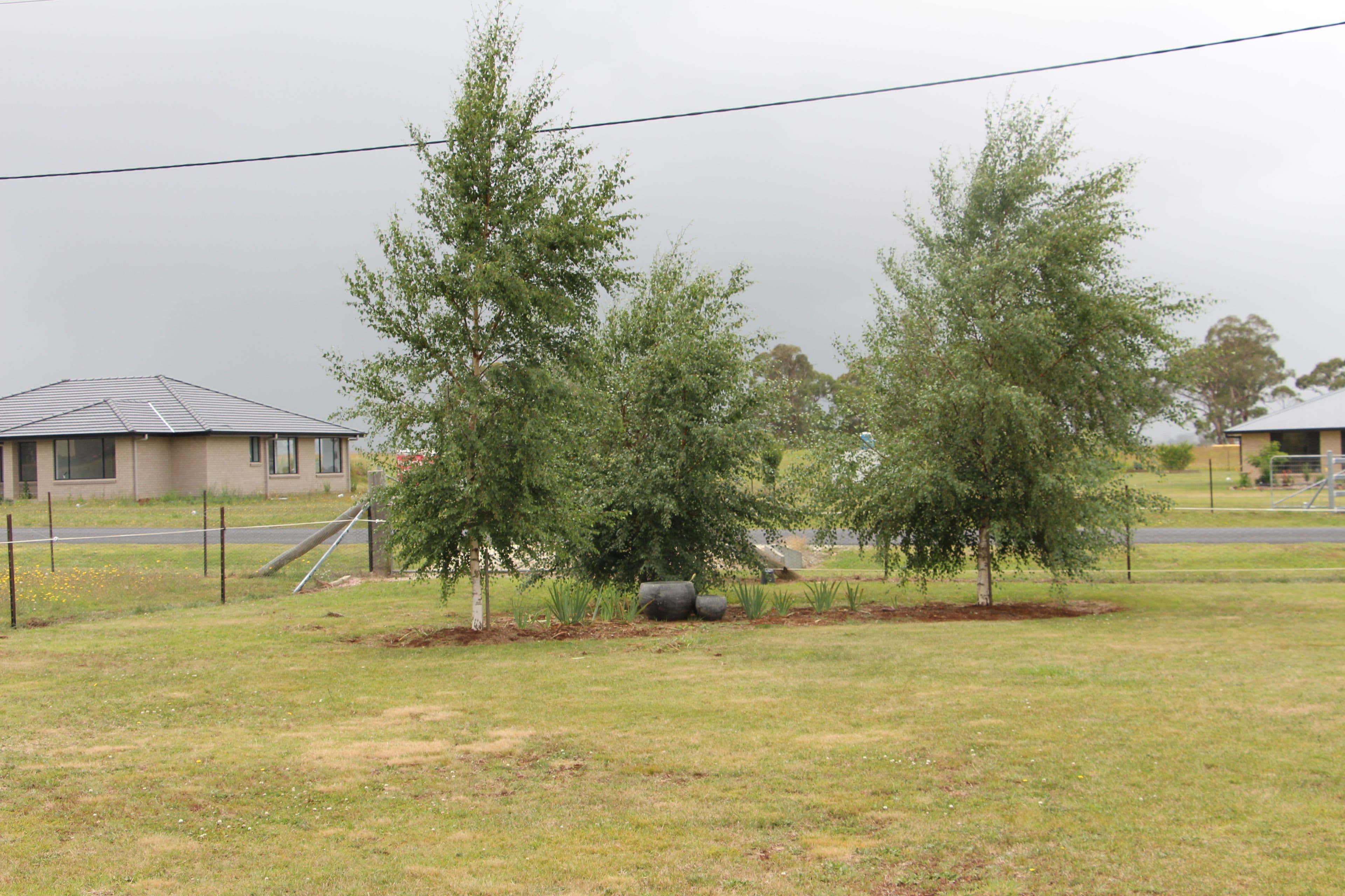 56 Lakeview Road, Guyra - Thumbnail 8