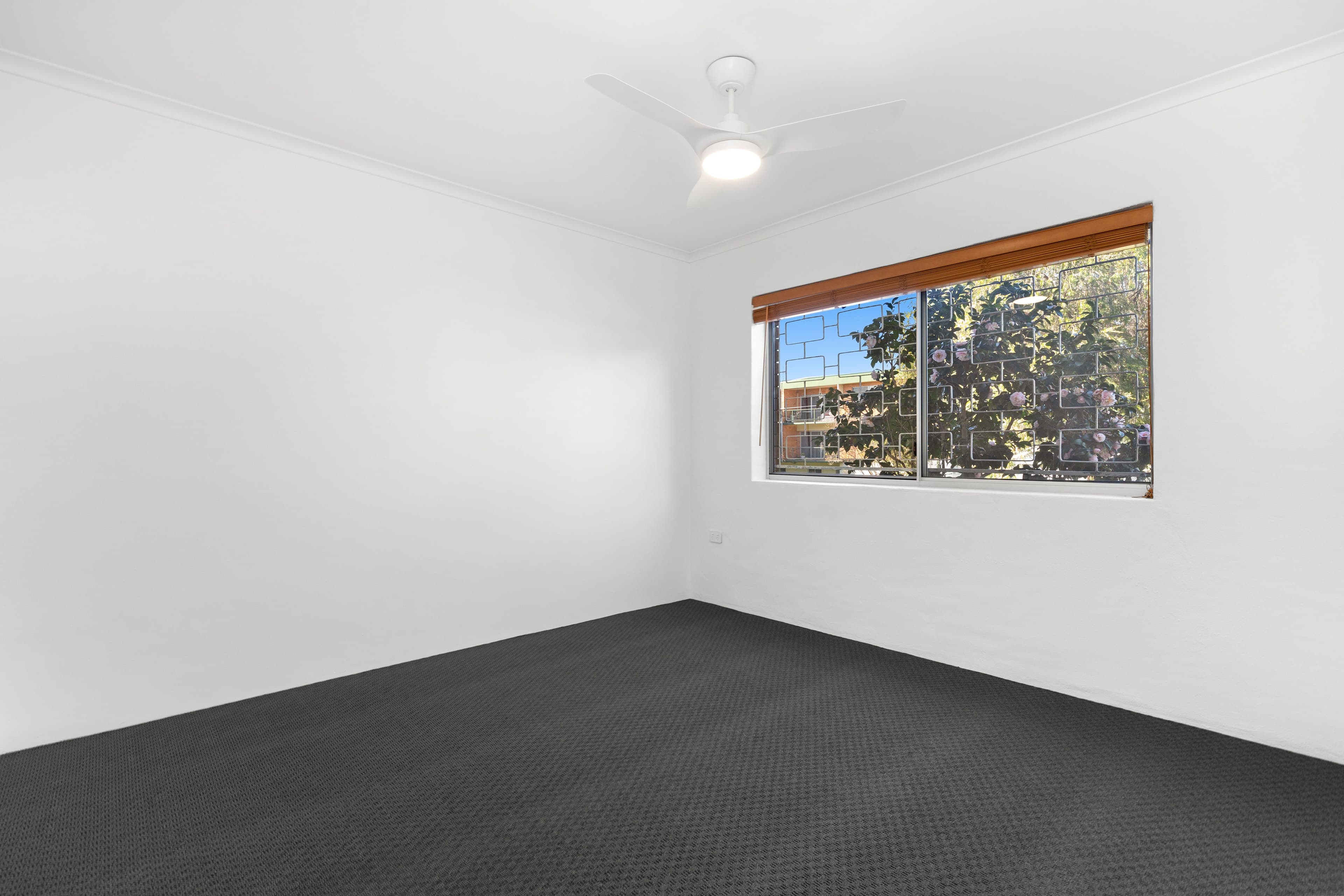 82 Cameron Street, Nundah QLD 4012, Nundah - Thumbnail 4