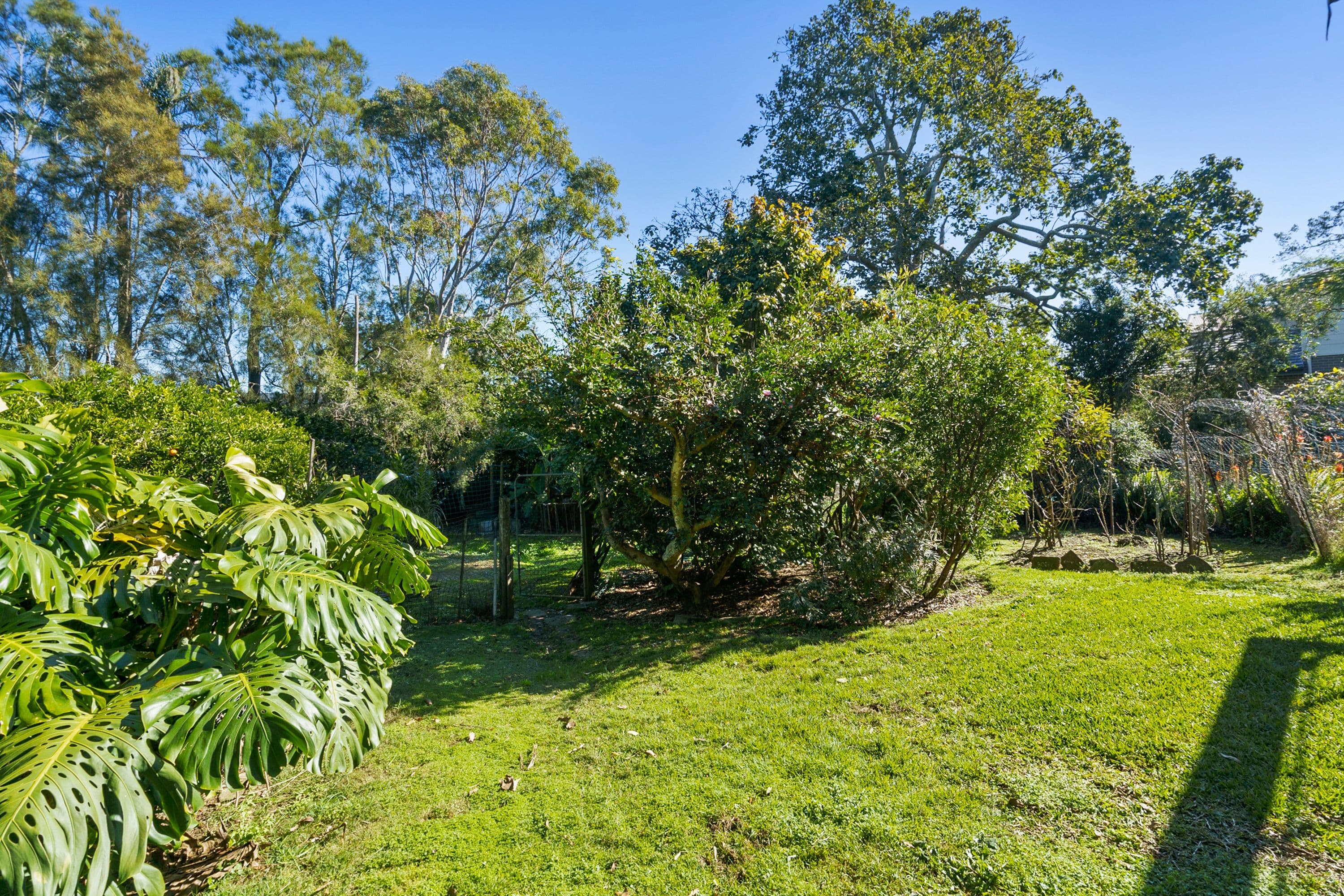 96 Waterview Street, Mona Vale NSW 2103, Mona Vale - Thumbnail 6