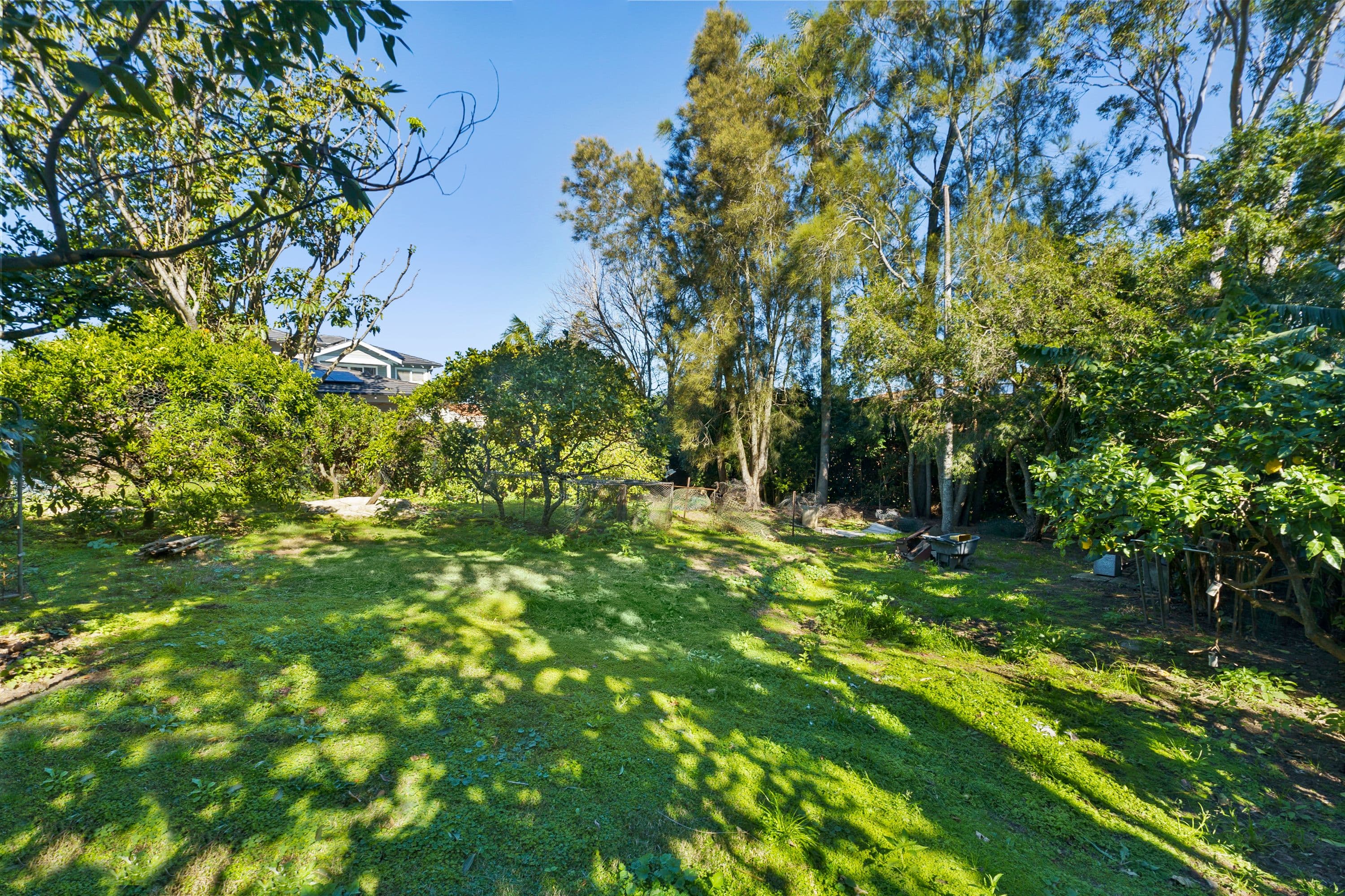 96 Waterview Street, Mona Vale NSW 2103, Mona Vale - Thumbnail 7