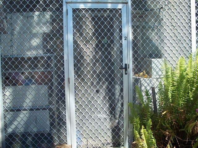 BLACKSTONE, QLD, Blackstone - Thumbnail 4