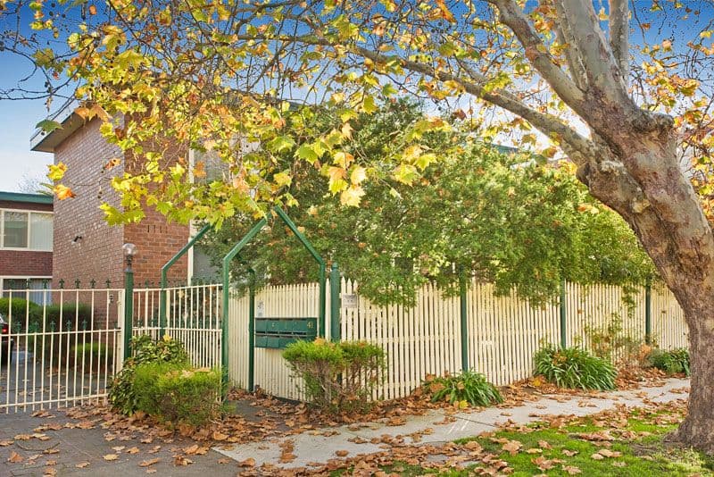 41 Fulham Road, ALPHINGTON VIC 3078, Alphington - Thumbnail 4