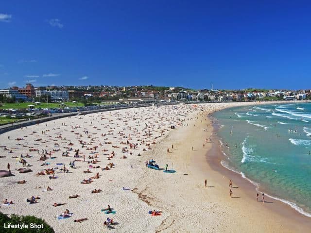 8 Tasman Street, BONDI NSW 2026, Bondi - Thumbnail 8