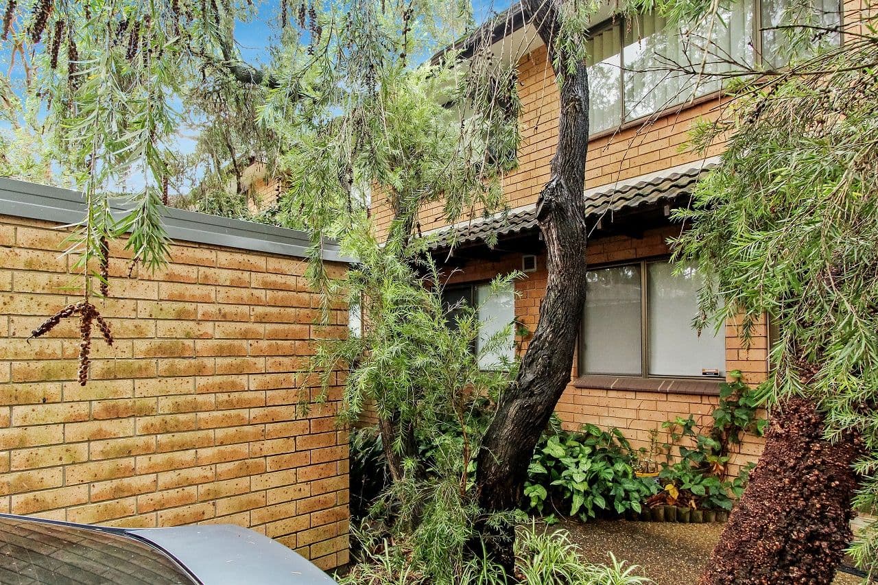 25 Taranto Road, Marsfield NSW 2122, Marsfield - Thumbnail 2