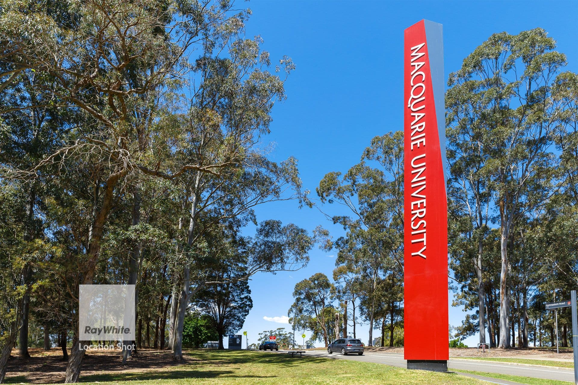 25 Taranto Road, Marsfield NSW 2122, Marsfield - Thumbnail 7