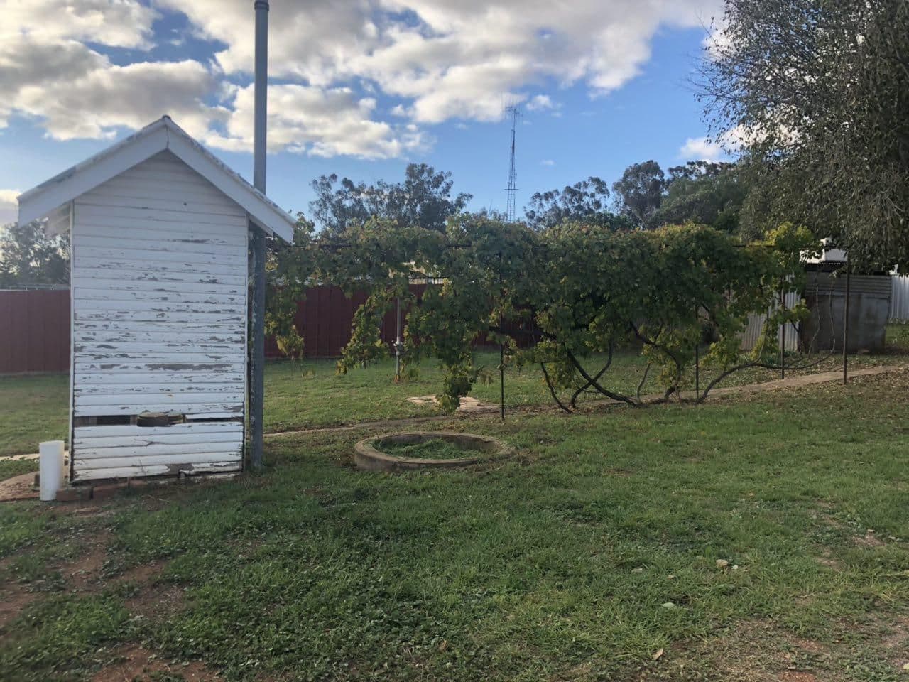 33 Caswell Street, Peak Hill - Thumbnail 8