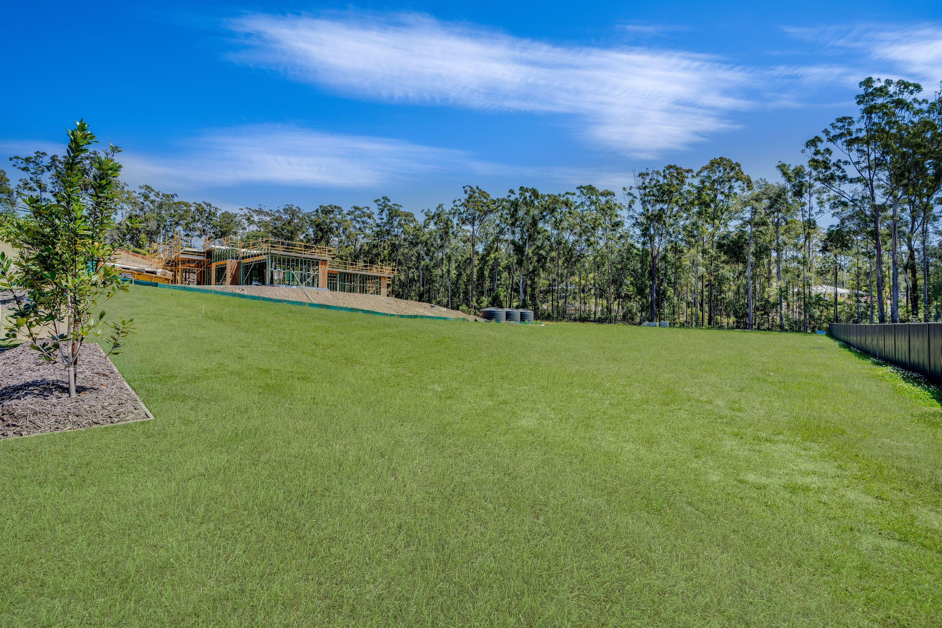 12 Staghorn Close, Palmview QLD 4553, Palmview - Thumbnail 4