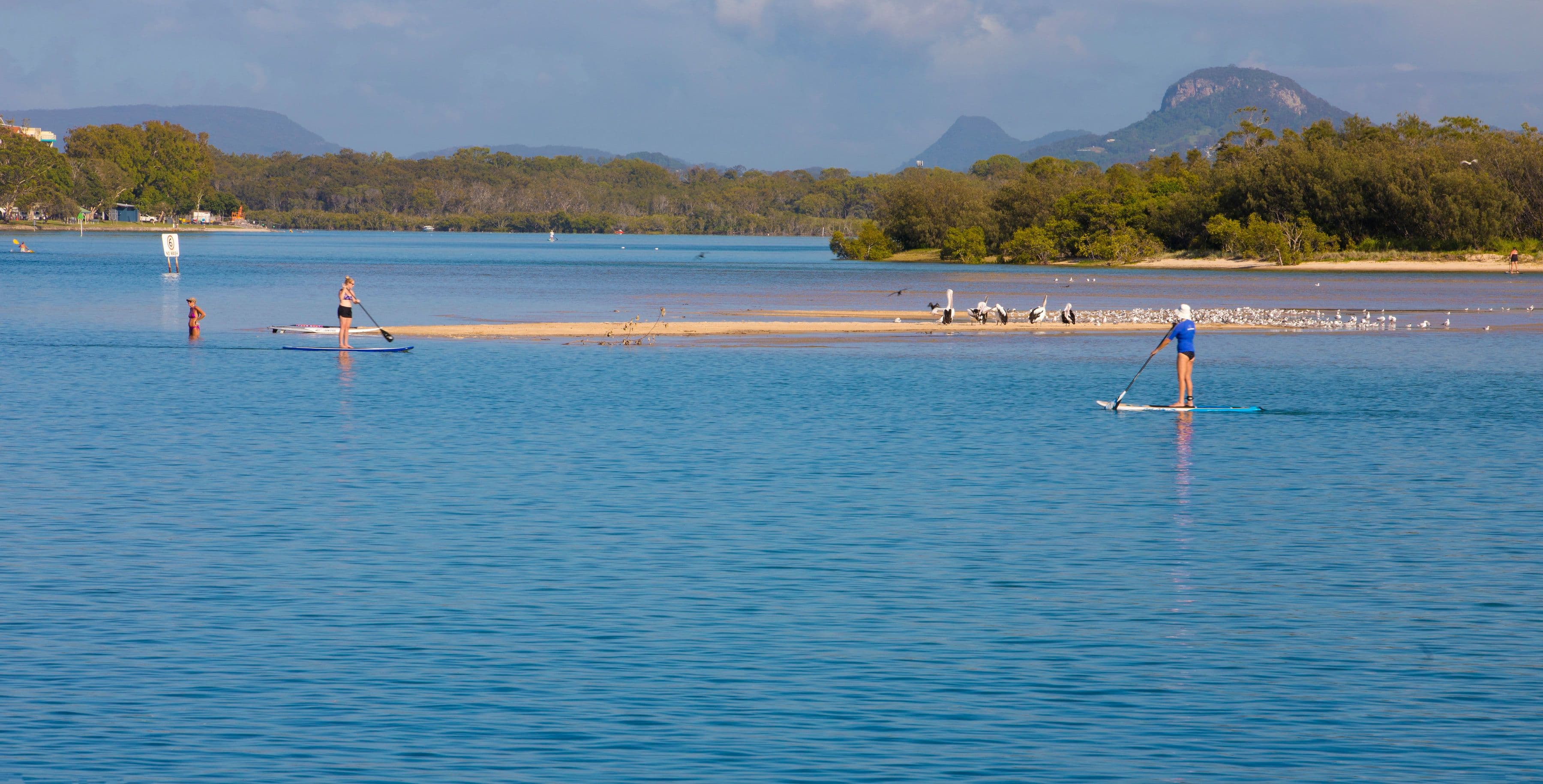 11-13 Yinni Street, Maroochydore QLD 4558, Maroochydore - Thumbnail 4