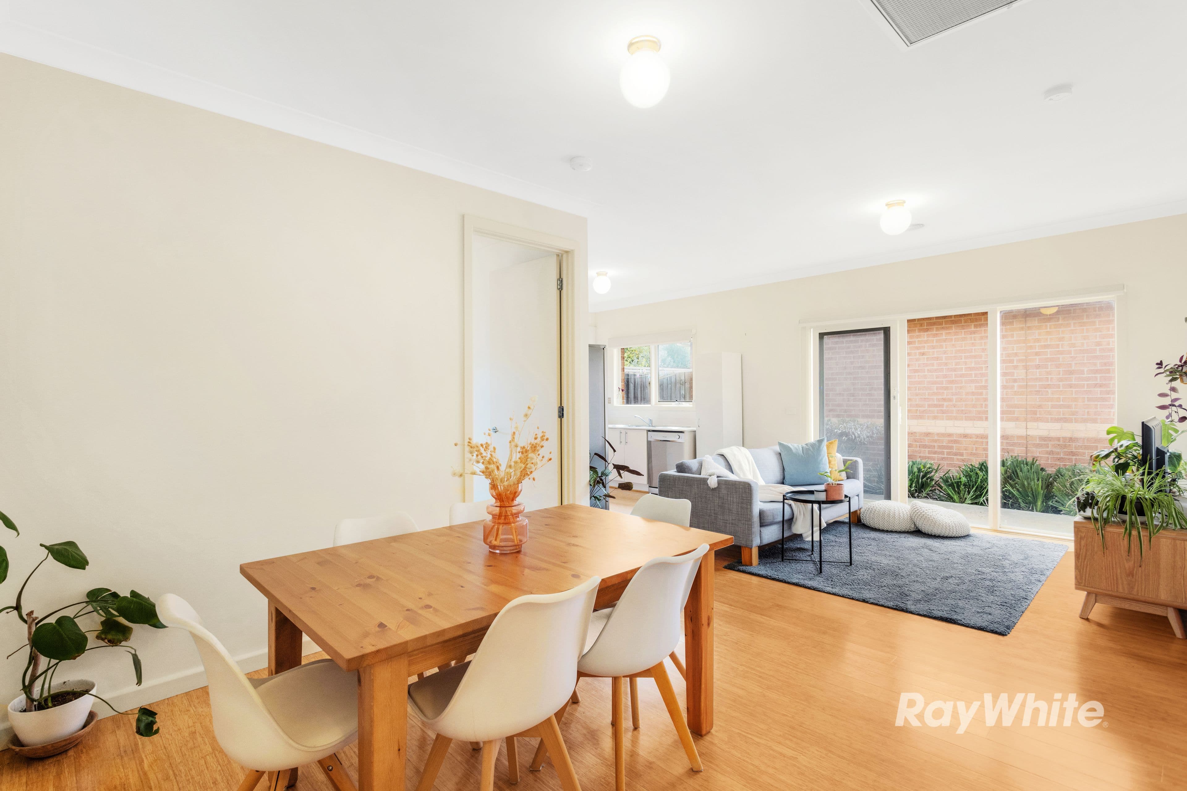 8 Beena Avenue, Carnegie VIC 3163, Carnegie - Thumbnail 2