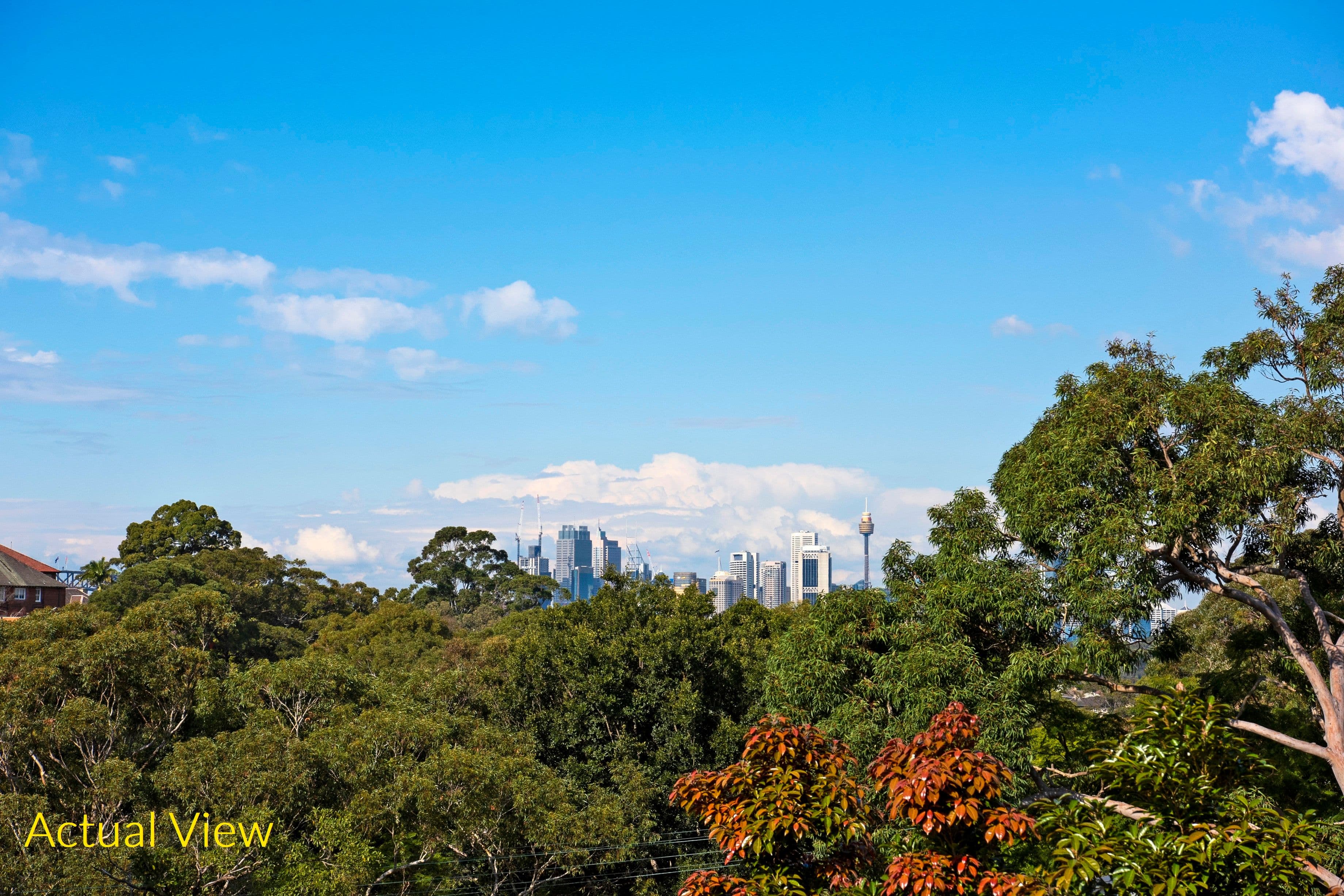 23 Glenview Street, Greenwich - Thumbnail 5