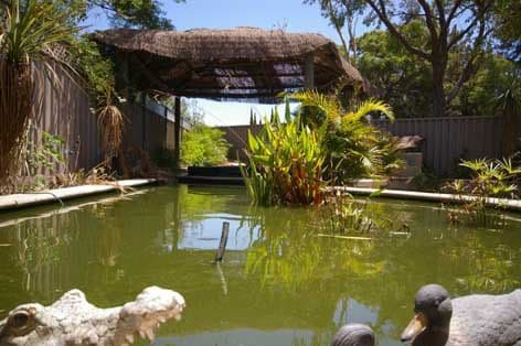 14 Cymosa Place, MIRRABOOKA WA 6061, Mirrabooka - Thumbnail 4