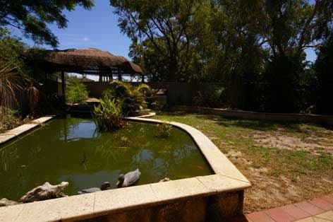 14 Cymosa Place, MIRRABOOKA WA 6061, Mirrabooka - Thumbnail 7