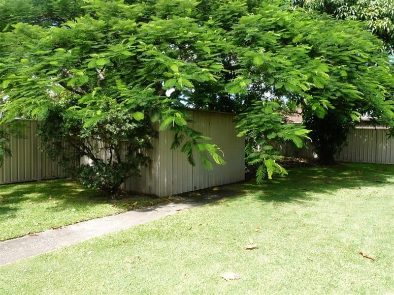 82  Link Road, VICTORIA POINT QLD 4165, Victoria Point - Thumbnail 6