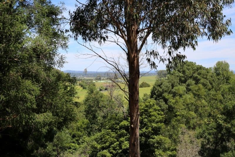 100 Devitts Lane, Meroo Meadow - Image 1