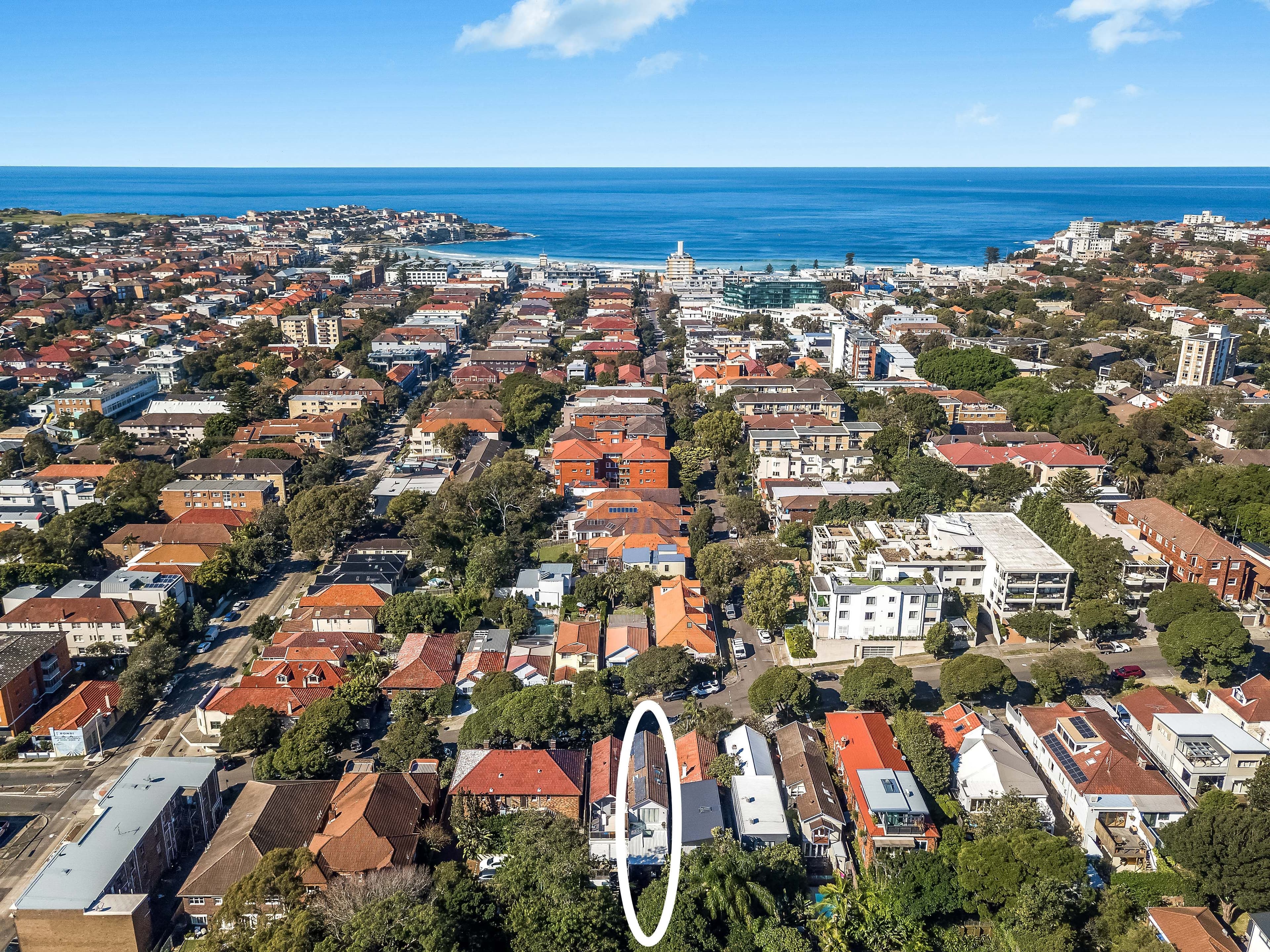 172 Wellington Street, Bondi Beach NSW 2026, Bondi Beach - Thumbnail 3