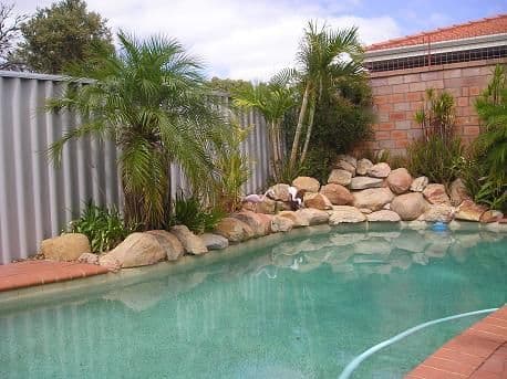 417 Moonlight Court, HUNTINGDALE WA 6110, Huntingdale - Thumbnail 3