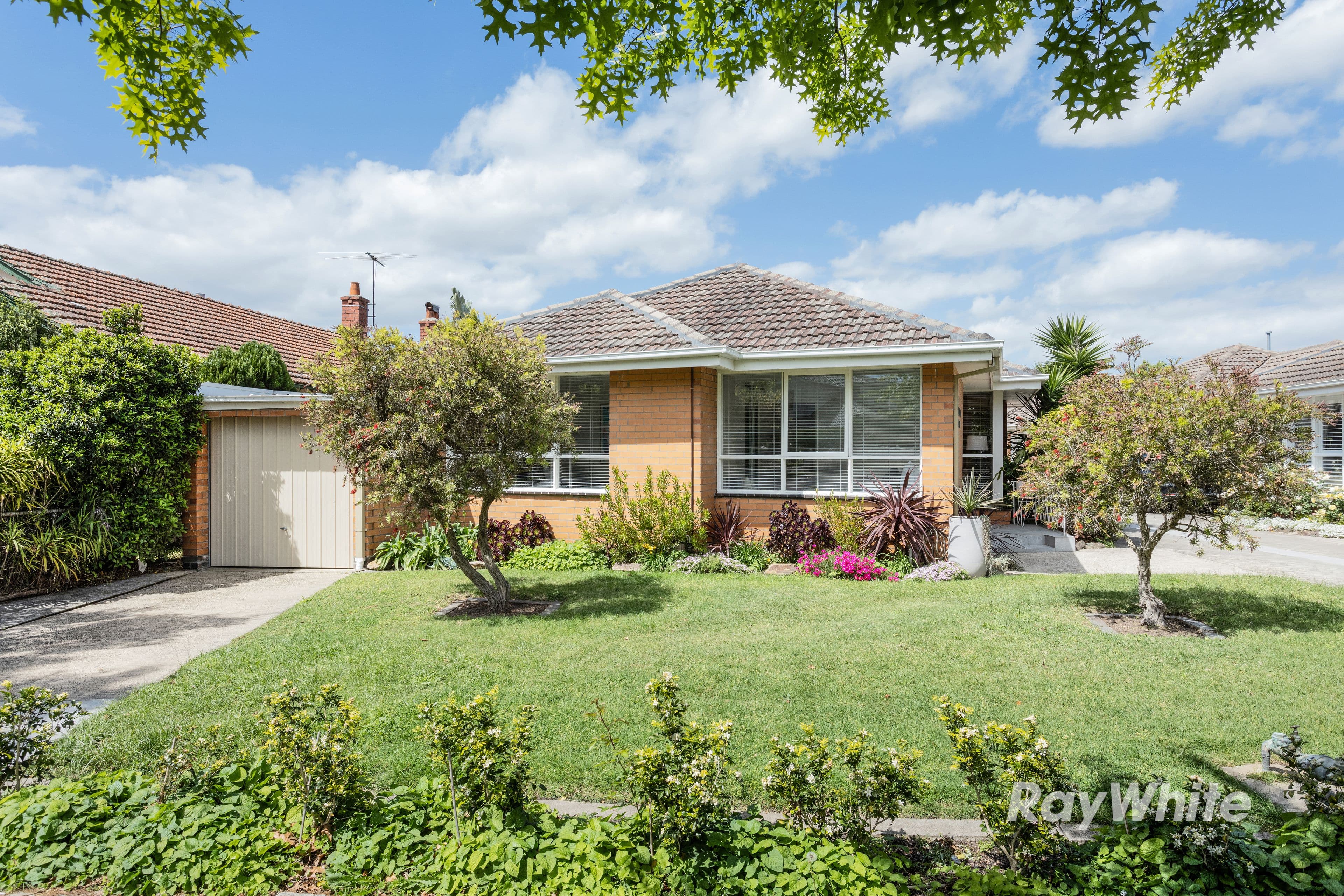 48-50 Serrell Street, Malvern East VIC 3145, Malvern East - Image 1